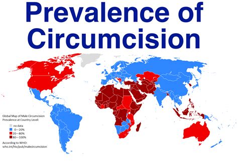 reddit circumcision|More.